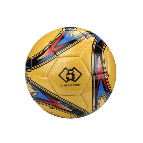 Custom Soccer Ball 2