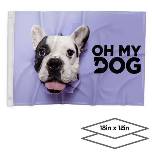 DOUBLE-SIDED DYE SUBLIMATION 2-LAYER 18IN X 12IN FLAG 2