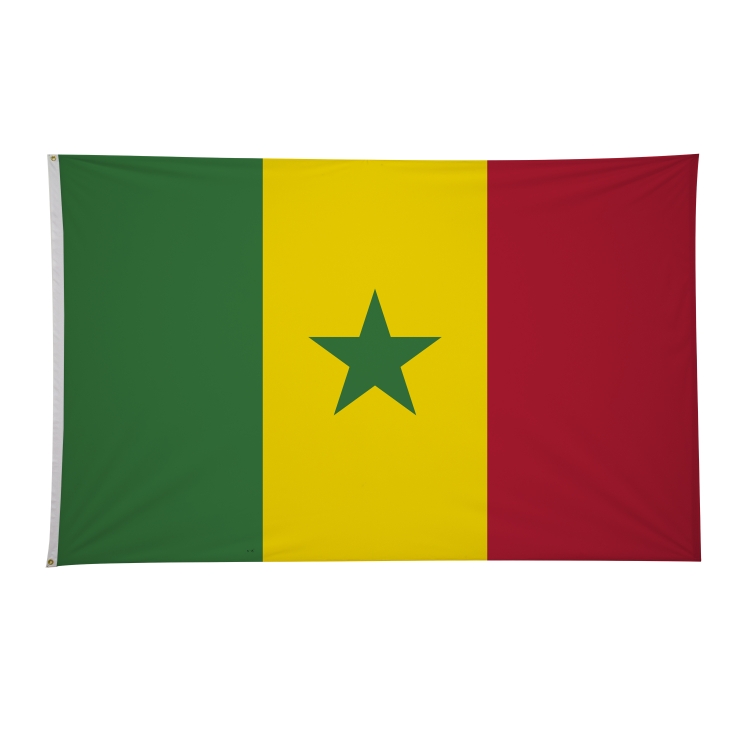 5' x 8' International Flags 59