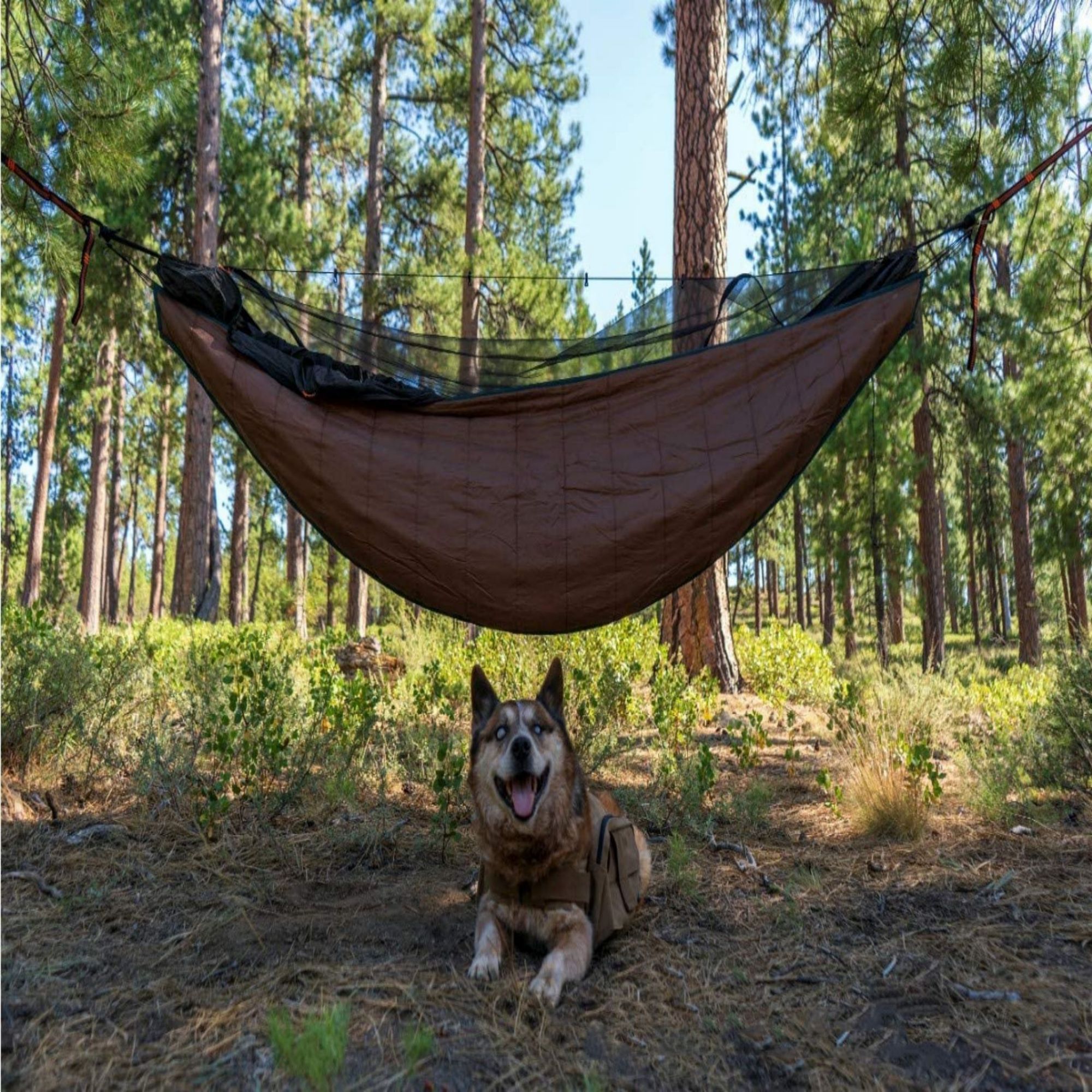 Hammock For Backpacking Camping 2