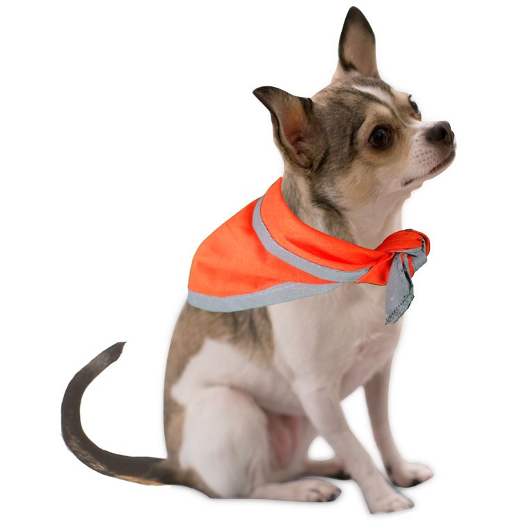 Reflective Triangle Pet Bandanna 11