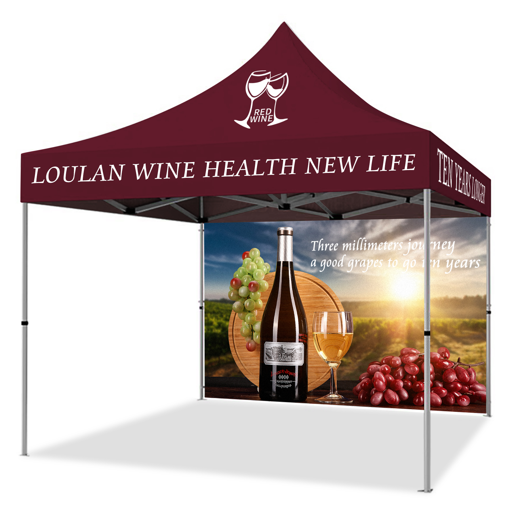 10' X 10' Heavy Duty Canopy Tent w/Back Full Wall (Dye Sublimation) 3