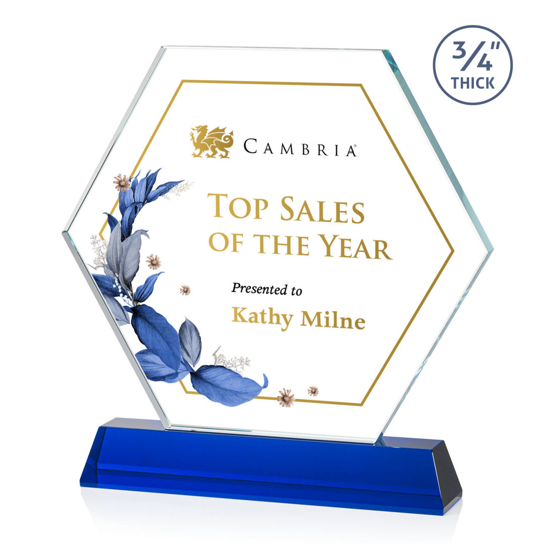 Ralston VividPrint™ Award - Blue 11