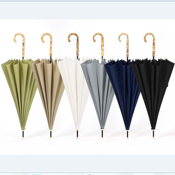 Umbrella 1