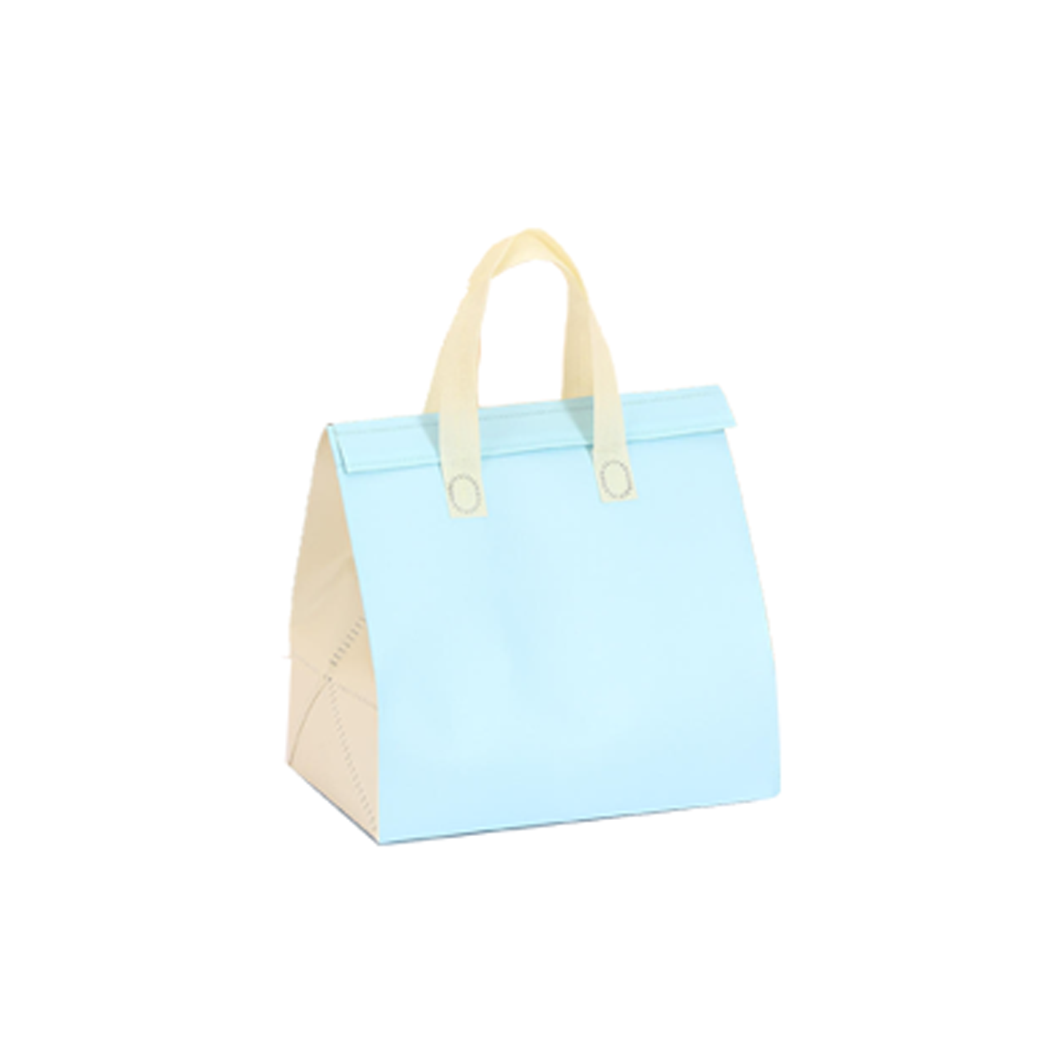 Disposable Insulated Bag 8