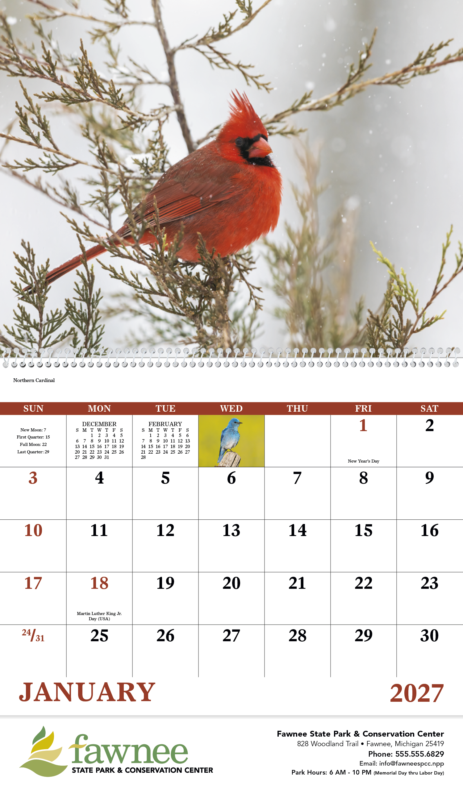 Good Value™ Birds of North America - Spiral Calendar 36