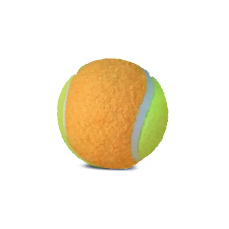 Dog Ball Training Tennis Ball 2