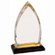 8 Inch Gold Oval Impress Acrylic Trophy 2