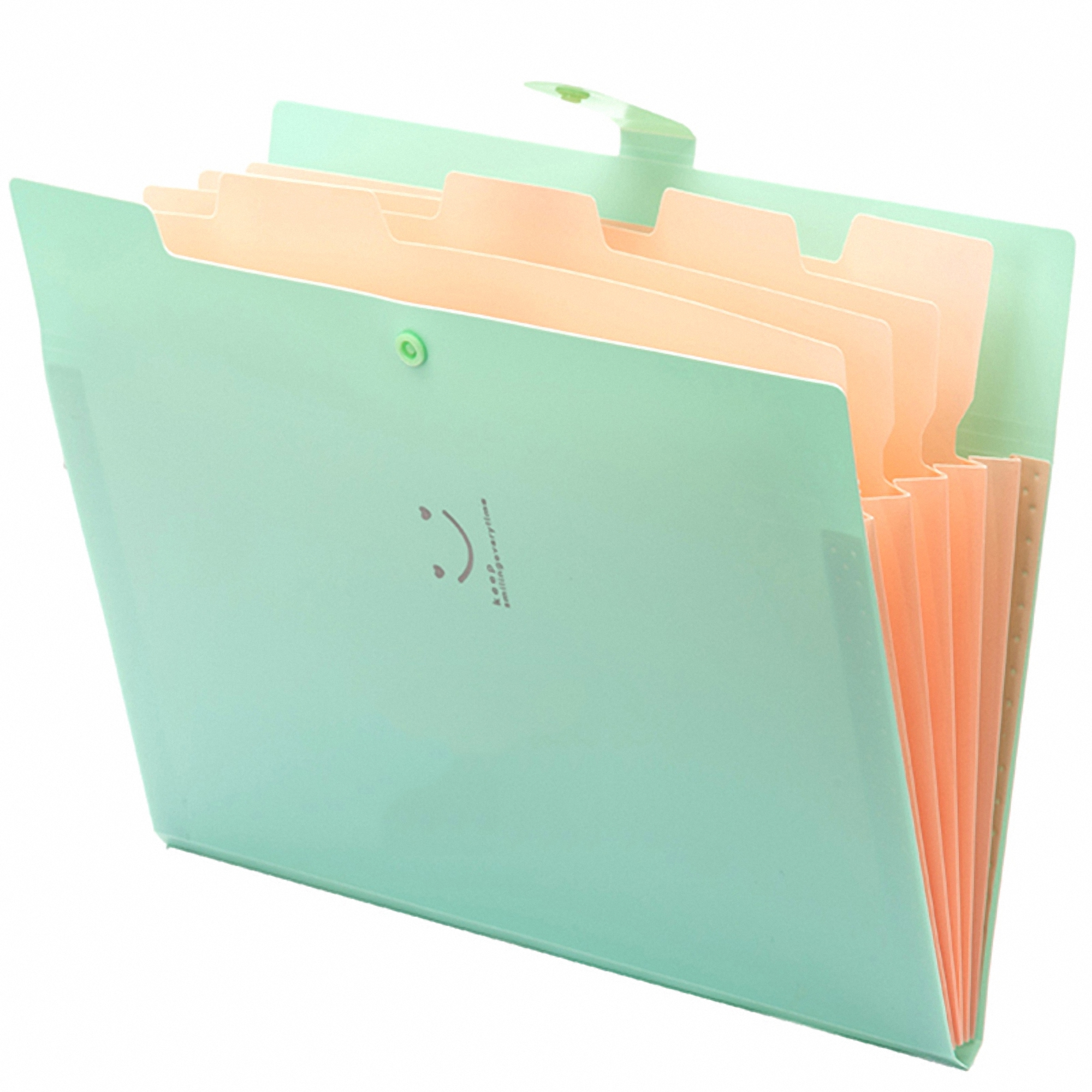 Expandable Poly File Folder with Snap Closures and Multi Pockets 5