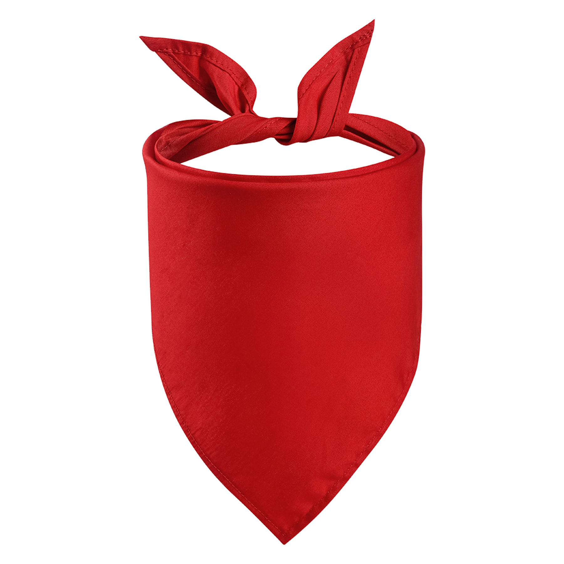 Pet Bandanna 10