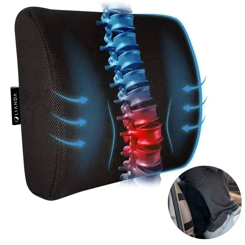 Lumbar Support Pillow 1