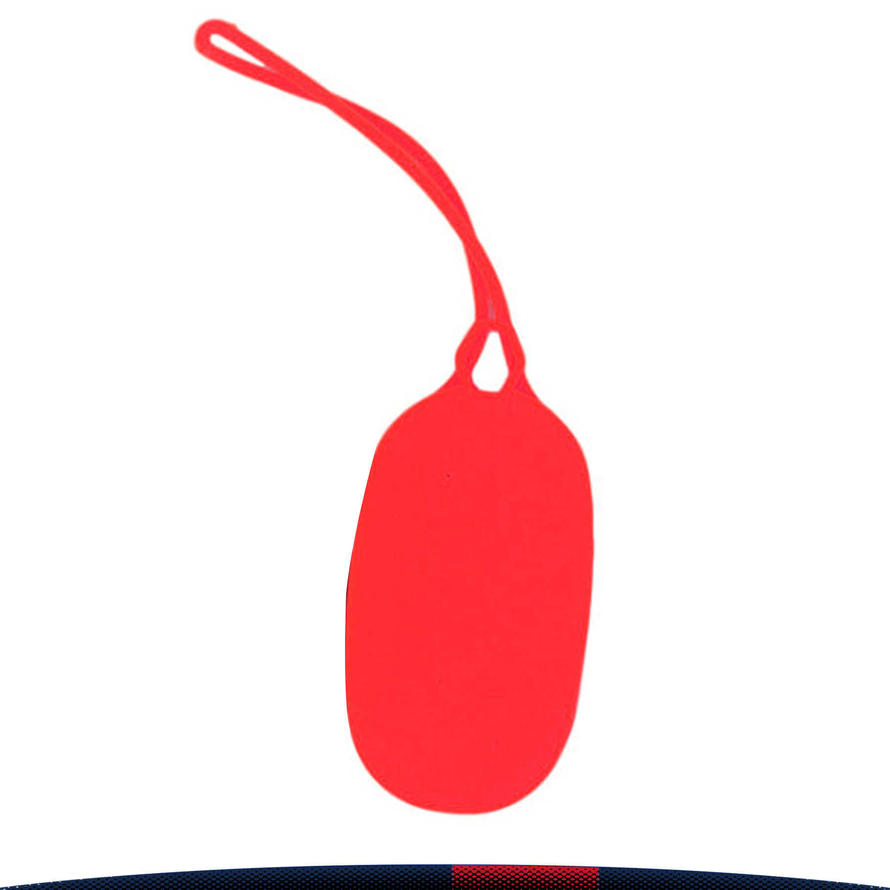 Oval Luggage Tag 4