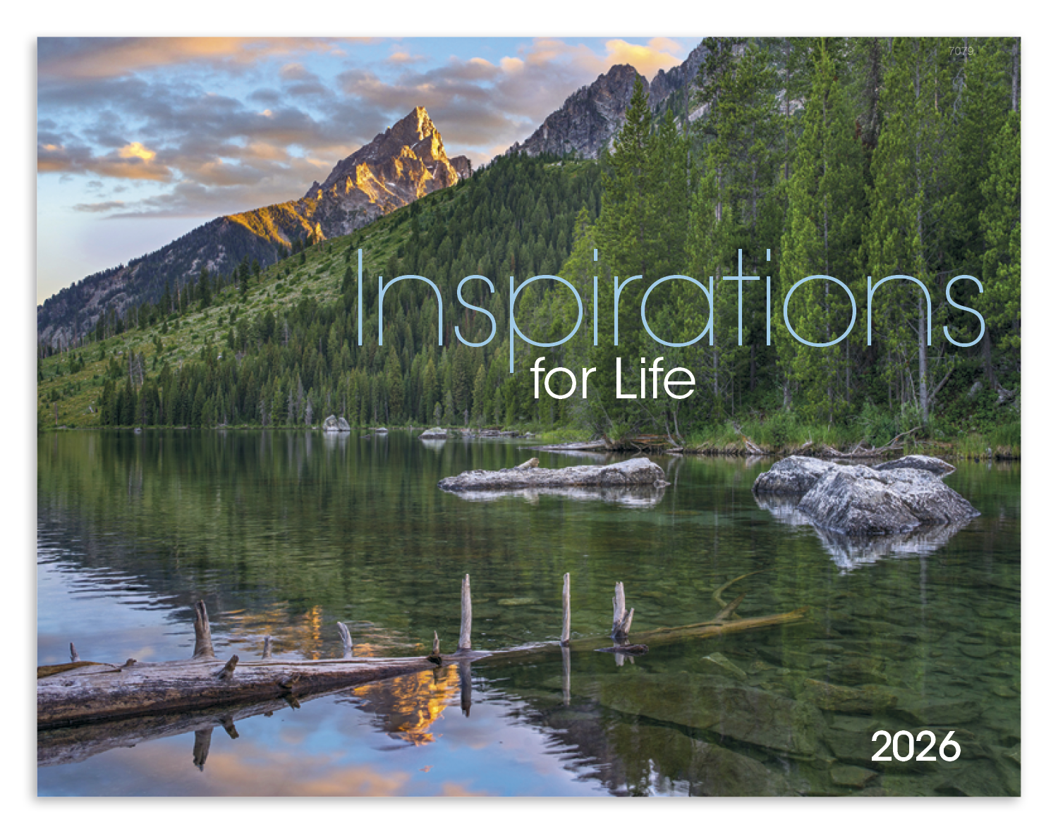 Good Value™ Inspirations for Life - Window Calendar 63