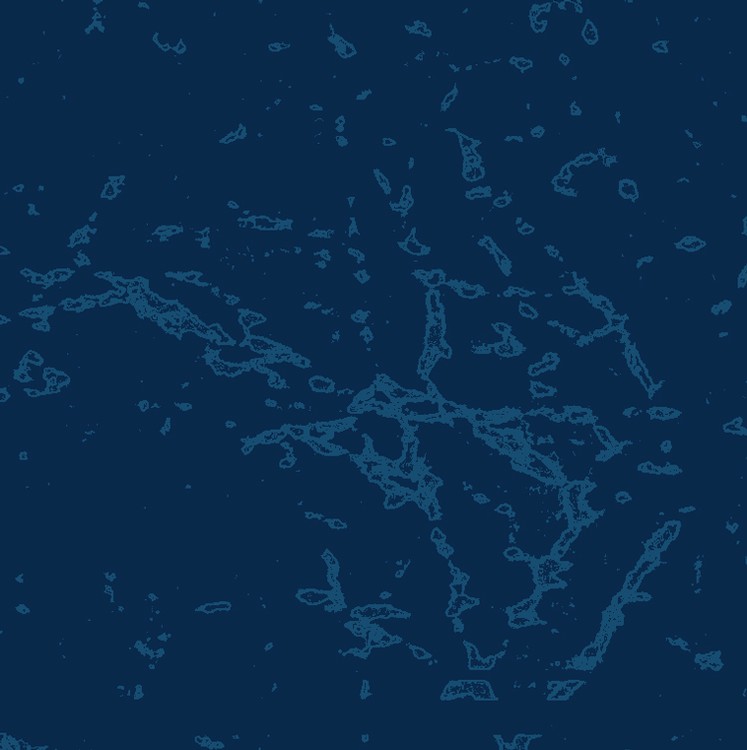 Tax and Report Cover with Foil Stamped Imprint 12