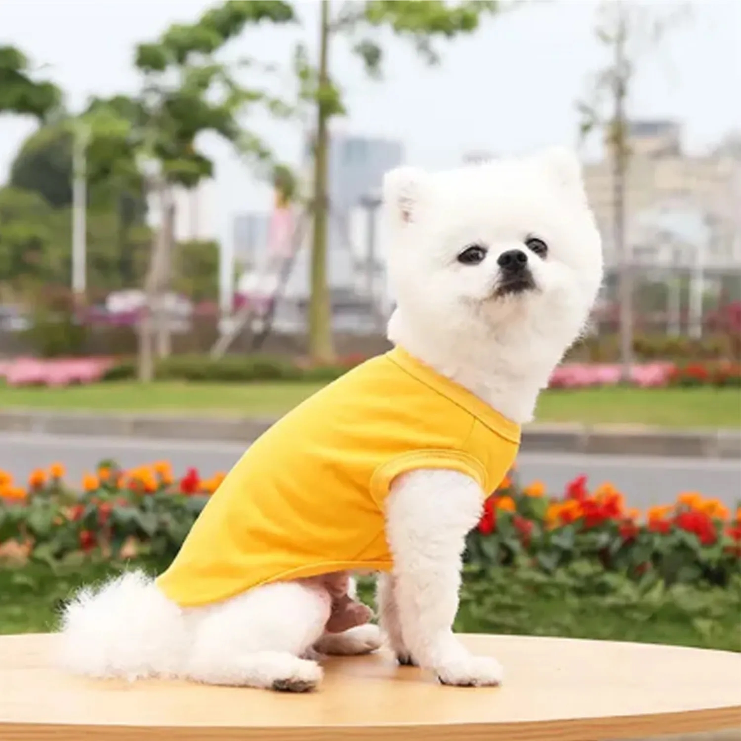 Breathable Dog Shirts 4