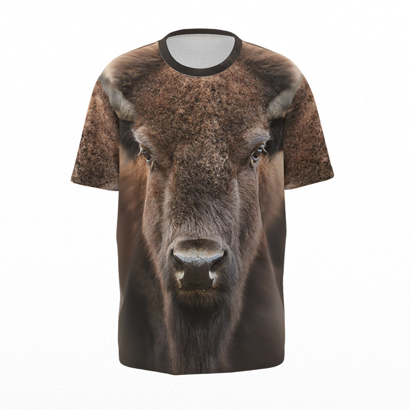 Custom Dye Sublimation Short Sleeve Polyester T Shirt 2