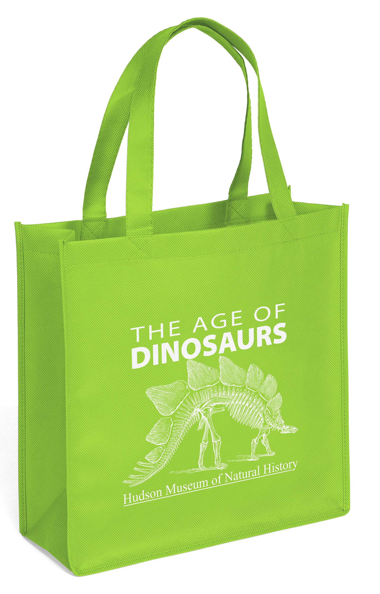 Abe - Celebration Tote - Screen Print 15