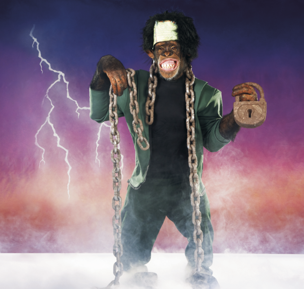 Triumph® Calendars Monkey Business Calendar 14