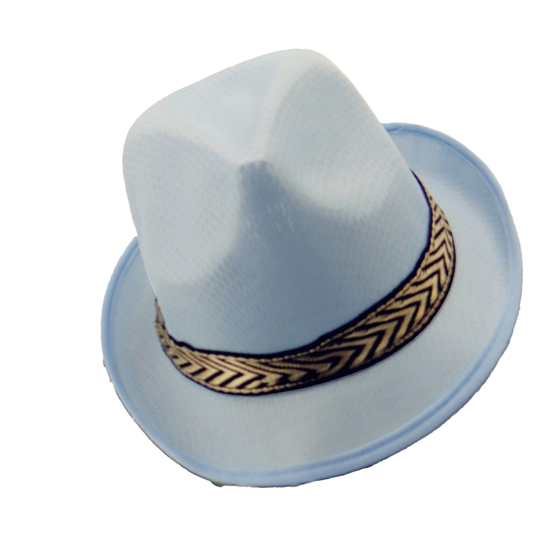 Funky Fedora Hat 2