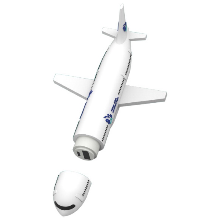 Custom 737 Passenger Plane Charger 3