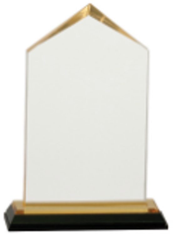 6.5" Gold Jewel Impress Acrylic Award