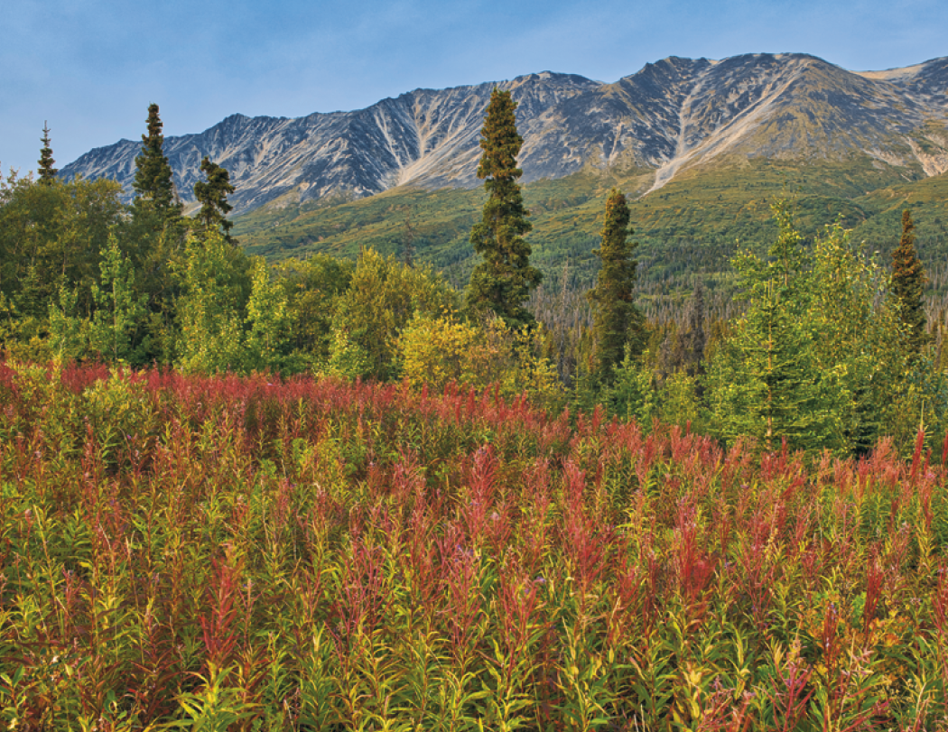 Good Value™ Canadian National Parks - Spiral Calendar 31
