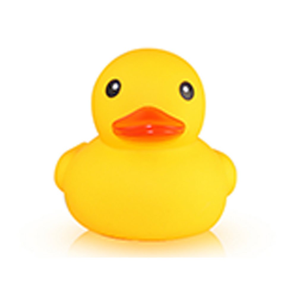 Rubber Duck Toy 2