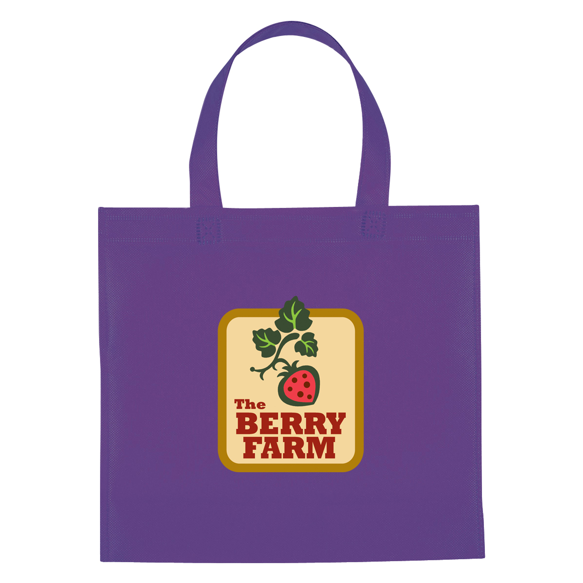 Non-Woven Mini Brochure Tote Bag 2