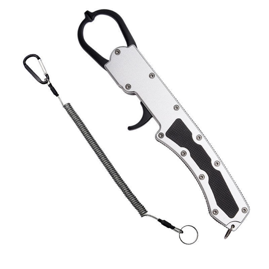 Multi-function Fish Controller 2