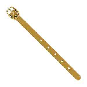 Leather Strap 2