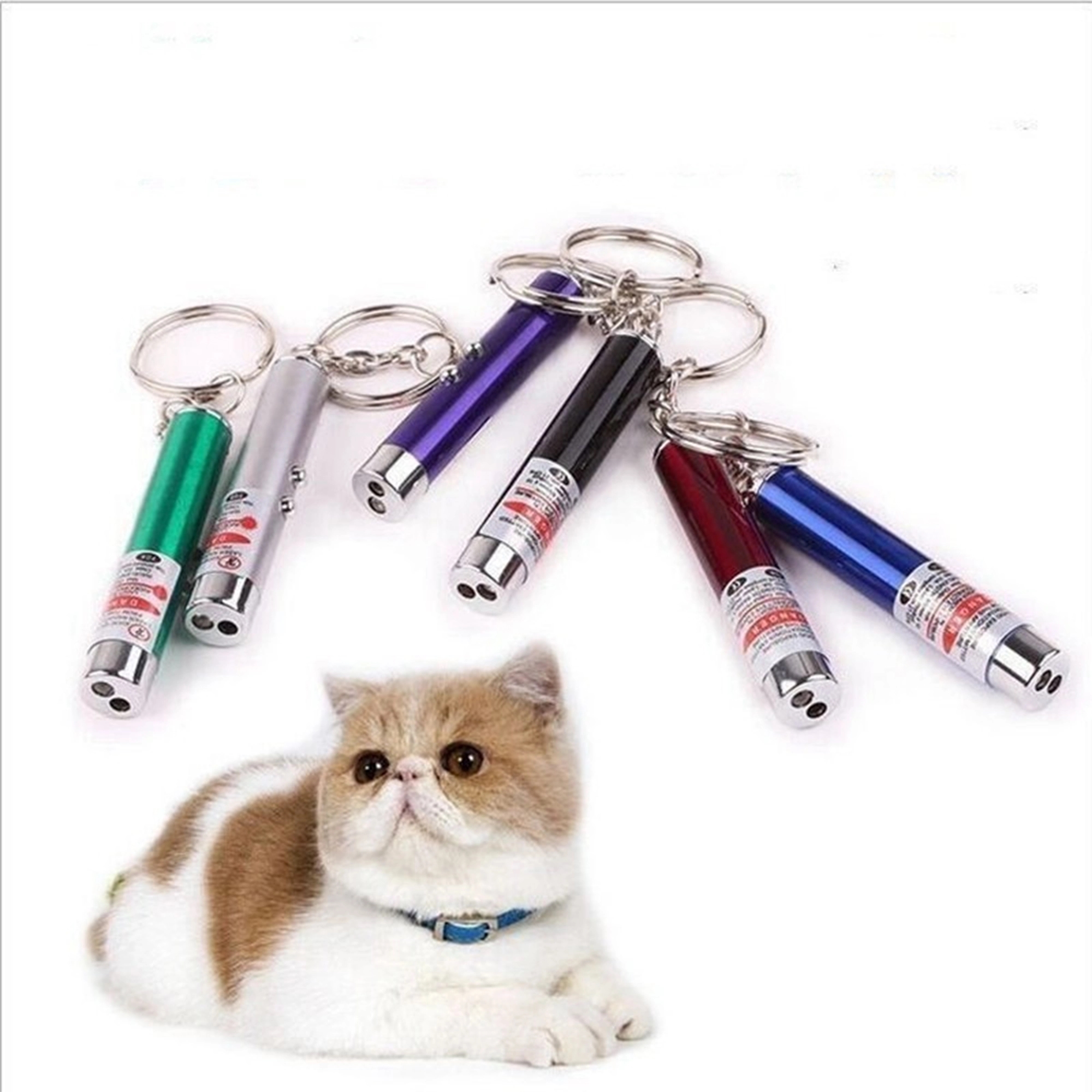 Laser Pointer LED Flashlight Key Chain 2