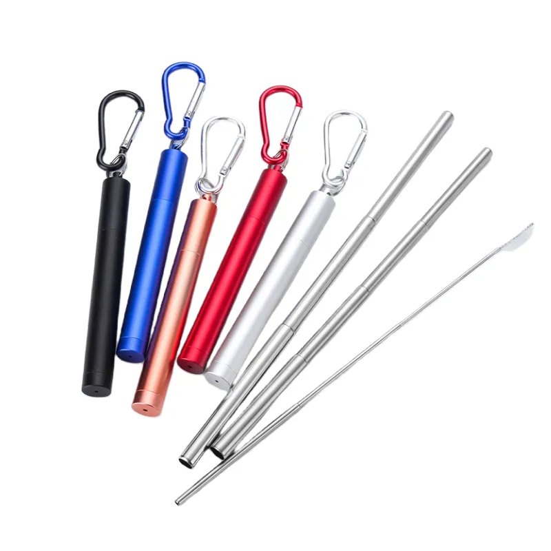 Stainless Steel Straw Set 2