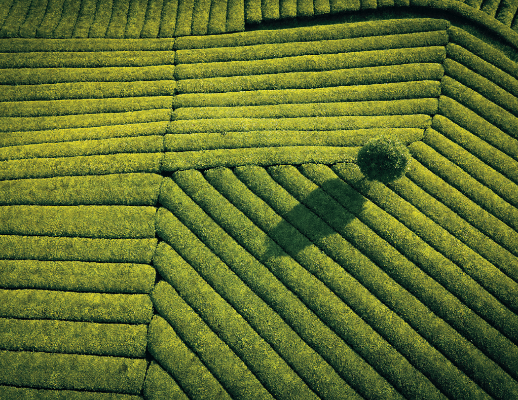 Good Value™ View from Above - Stapled Calendar