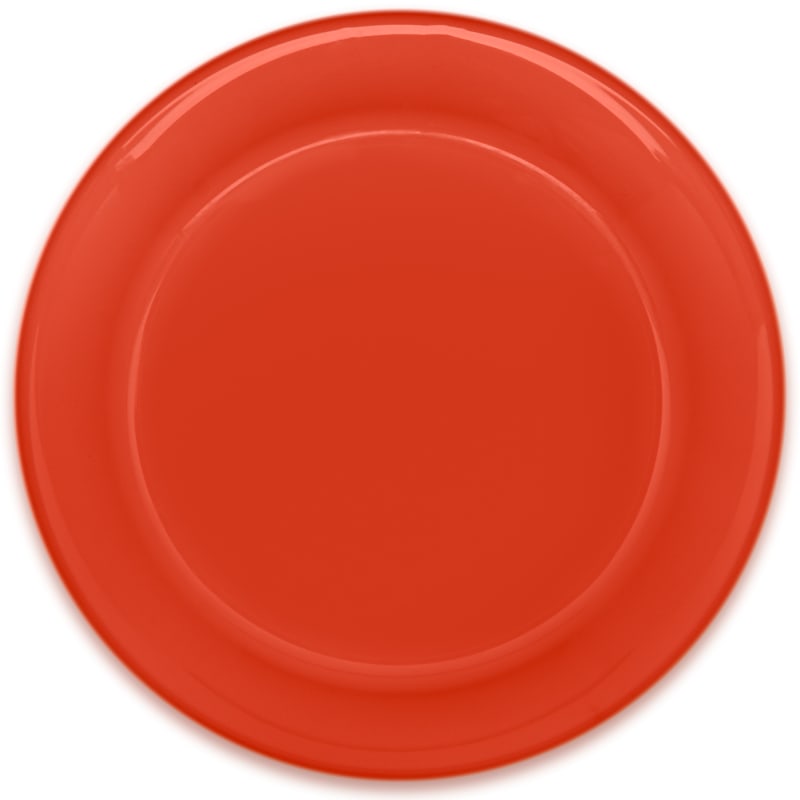9.25" Full Color Flying Discs 20