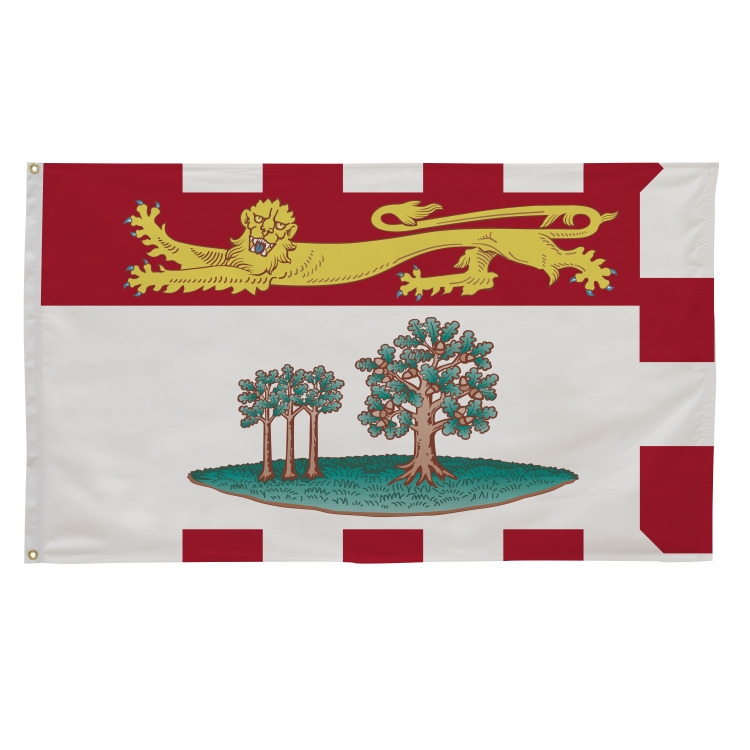3' x 5' International Flags 90