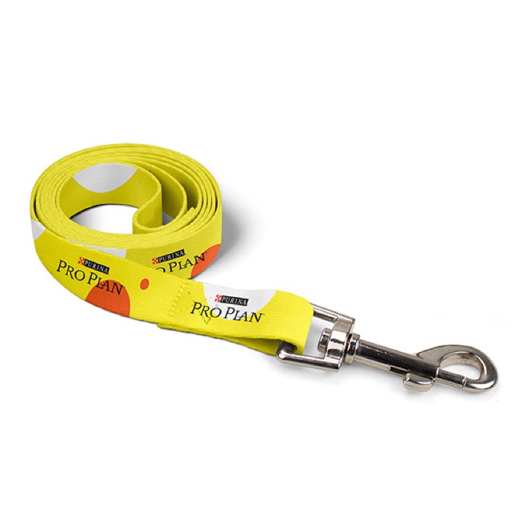 1" Full Color Dog Leash