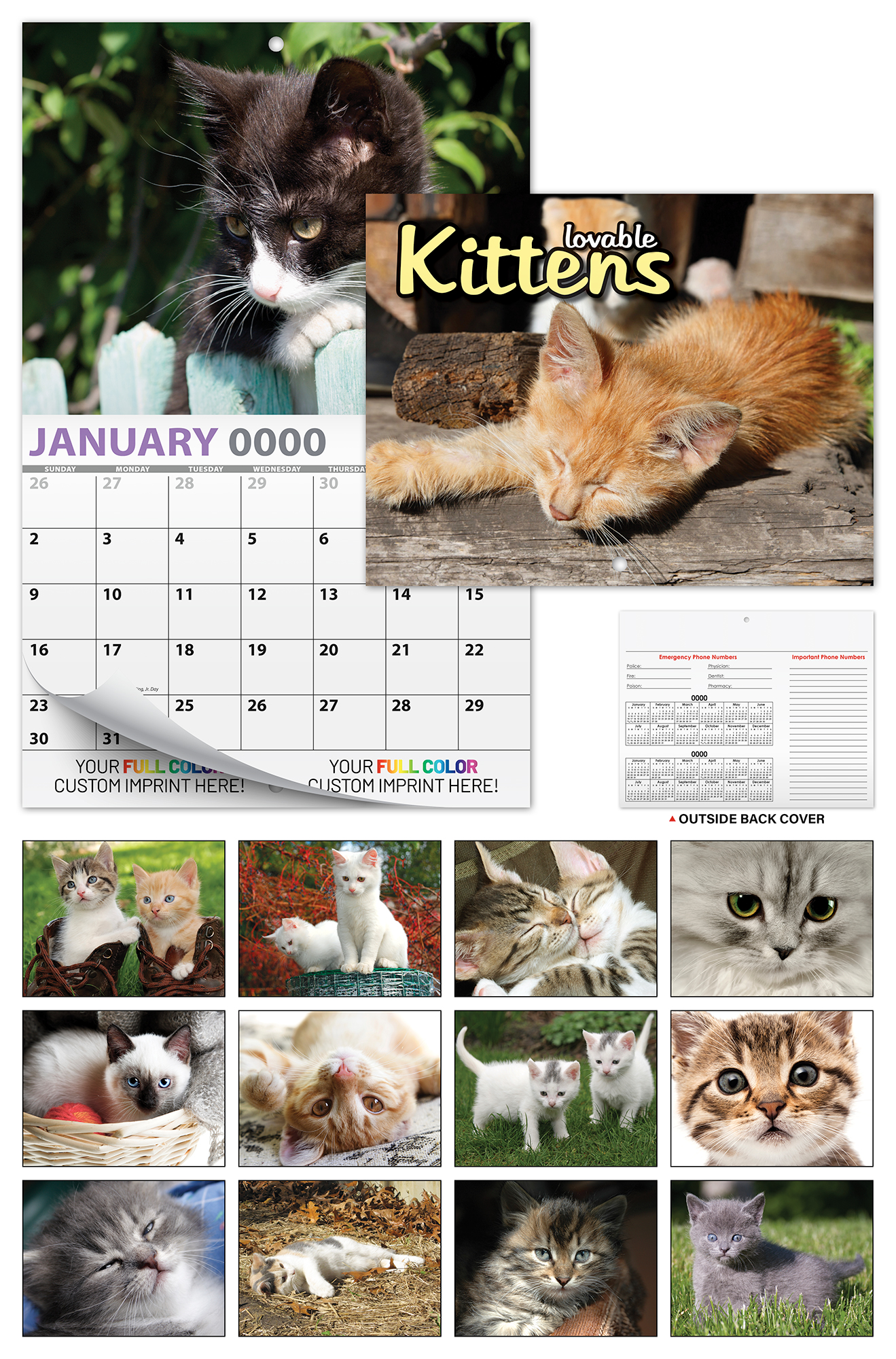13 Month Custom Appointment Wall Calendar (High Gloss UV-Coated Cover)- KITTENS 3