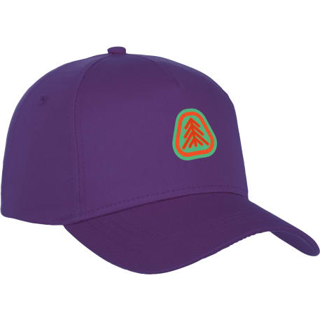 Unisex Composite Ballcap 87