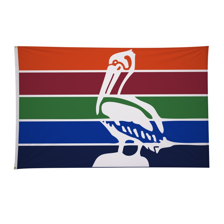 5' x 8' City Flags 39