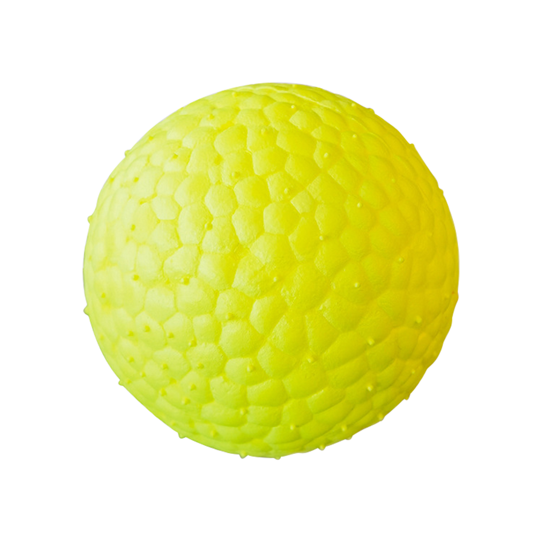 Elastic Pet Ball 5