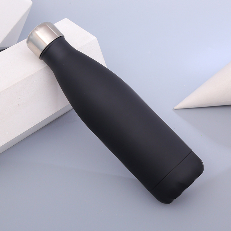 17 oz. Stainless Steel Bottle 2