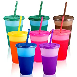 16 OZ Transparent G PP Sensitive Dandruff Tumbler/Lid and Straw Cup 11
