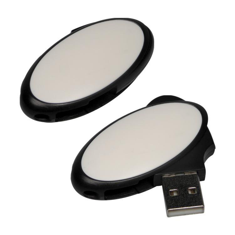 1205FMS - Flash Memory Drive V2.0 1