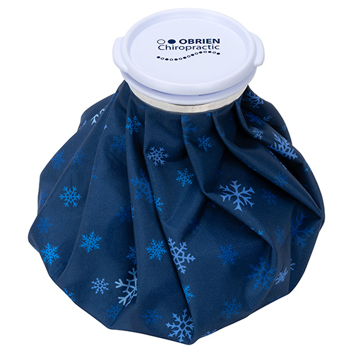 Chiller Large Ice Bag 8