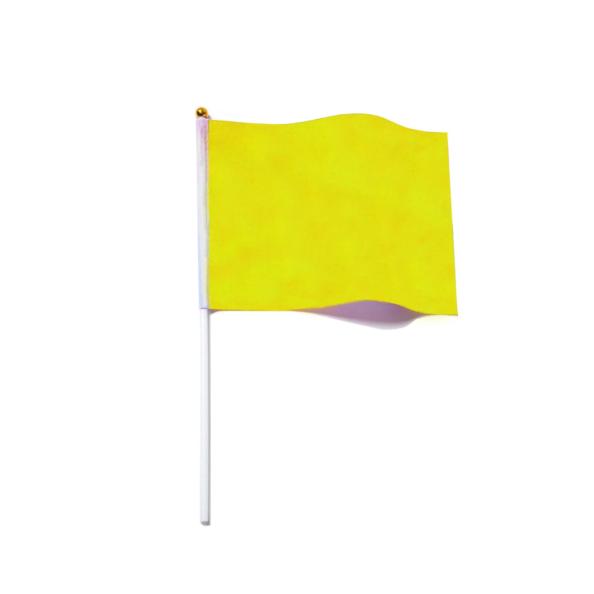 Hand Held Custom Party Flags 5