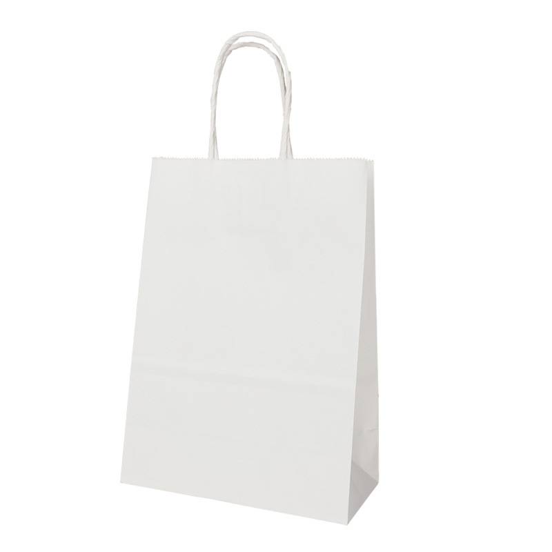 Customized Kraft Paper Gift Bag 4