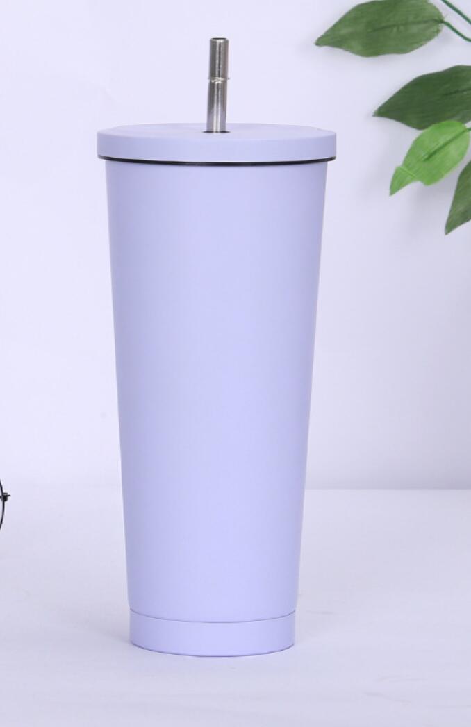 25OZ.Stainless Steel Tumbler with Straw 3