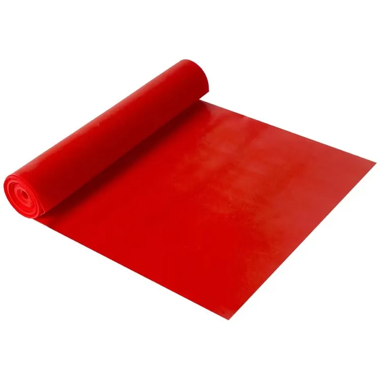 Resistance Exercise Band 2