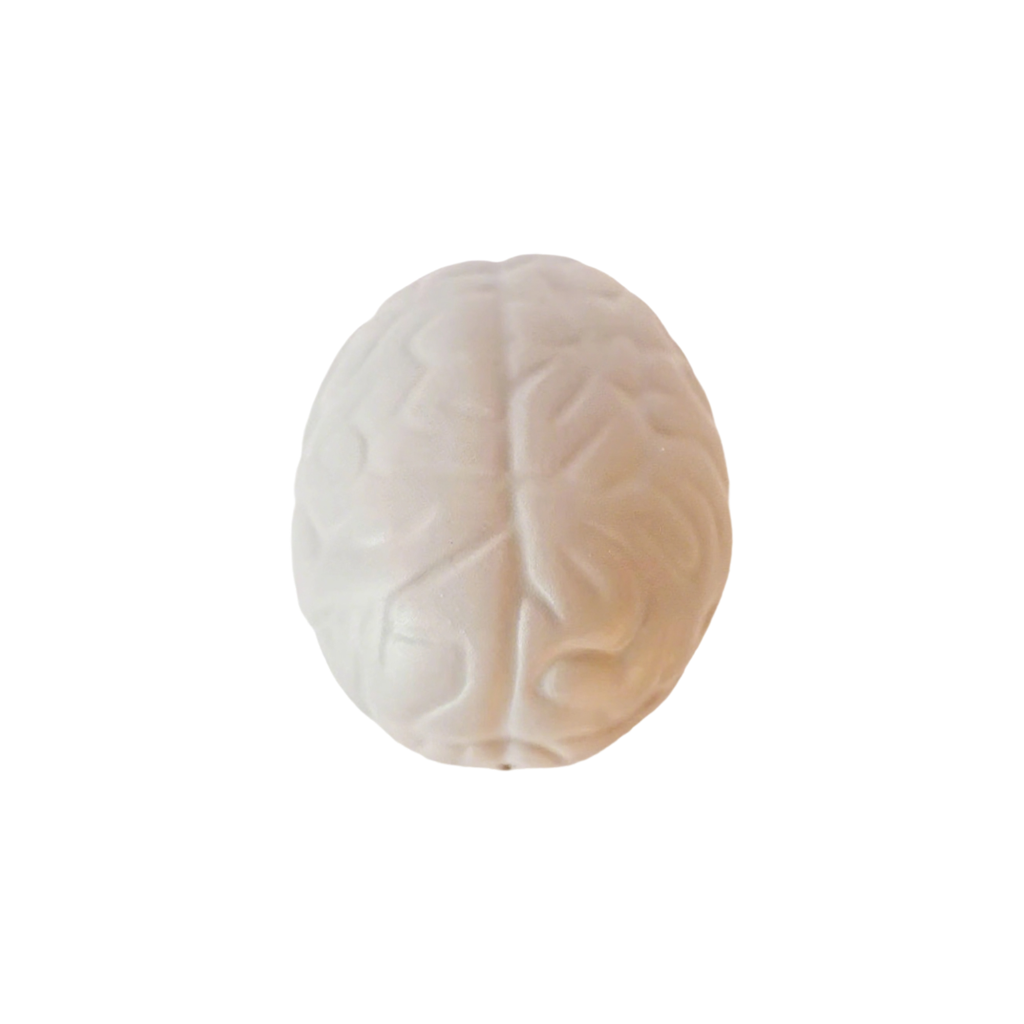 Brain Shape Foam Stress Reliever For Office And Education Use 11