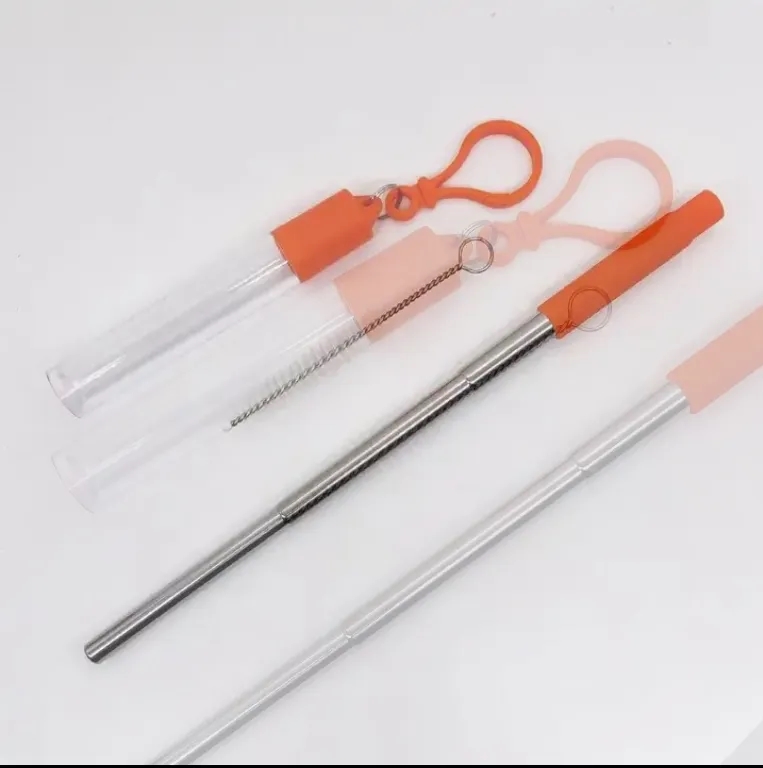 Stainless Steel Straw Reusable Travel Kit 4